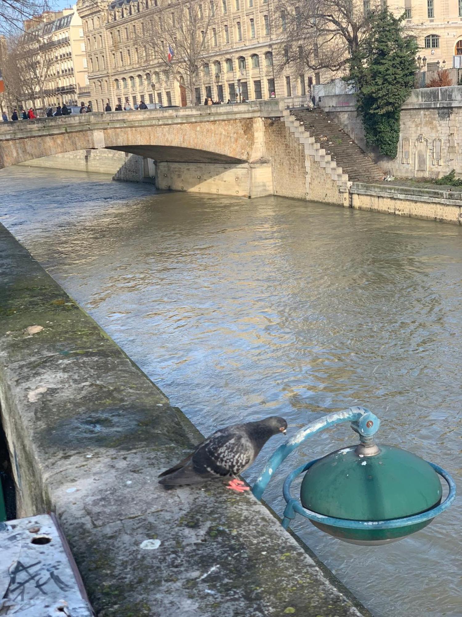 Quartierlatin * Parigi